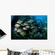 Schooling Porkfish White Margate Wall Decal Design 2