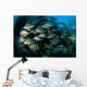 Schooling Porkfish White Margate Wall Decal Design 2