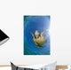 Green Sea Turtle Chelonia Wall Decal Design 23