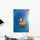 Green Sea Turtle Chelonia Wall Decal Design 23