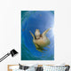Green Sea Turtle Chelonia Wall Decal Design 23