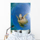 Green Sea Turtle Chelonia Wall Decal Design 23