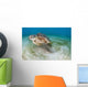 Green Sea Turtle Chelonia Wall Decal Design 22