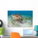 Green Sea Turtle Chelonia Wall Decal Design 22