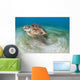 Green Sea Turtle Chelonia Wall Decal Design 22
