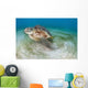 Green Sea Turtle Chelonia Wall Decal Design 22