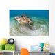 Green Sea Turtle Chelonia Wall Decal Design 22