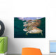 Green Sea Turtle Chelonia Wall Decal Design 21