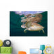 Green Sea Turtle Chelonia Wall Decal Design 21