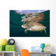 Green Sea Turtle Chelonia Wall Decal Design 21