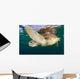 Green Sea Turtle Chelonia Wall Decal Design 20
