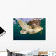 Green Sea Turtle Chelonia Wall Decal Design 20