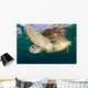 Green Sea Turtle Chelonia Wall Decal Design 20