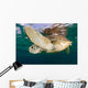 Green Sea Turtle Chelonia Wall Decal Design 20