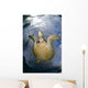 Green Sea Turtle Chelonia Wall Decal Design 19