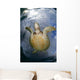 Green Sea Turtle Chelonia Wall Decal Design 19