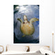 Green Sea Turtle Chelonia Wall Decal Design 19