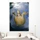 Green Sea Turtle Chelonia Wall Decal Design 19