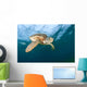 Green Sea Turtle Chelonia Wall Decal Design 18