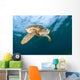 Green Sea Turtle Chelonia Wall Decal Design 18