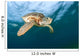 Green Sea Turtle Chelonia Wall Decal Design 18