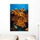 Reefscape Full Sea Sponges Wall Decal