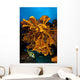Reefscape Full Sea Sponges Wall Decal