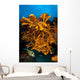 Reefscape Full Sea Sponges Wall Decal