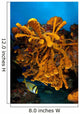 Reefscape Full Sea Sponges Wall Decal