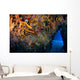 Reefscape Full Gorgonians and Wall Decal
