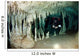 Cave Diver Exploring Nohoch Wall Decal Design 2