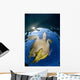 Green Sea Turtle Chelonia Wall Decal Design 17