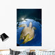 Green Sea Turtle Chelonia Wall Decal Design 17
