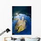 Green Sea Turtle Chelonia Wall Decal Design 17