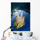 Green Sea Turtle Chelonia Wall Decal Design 17
