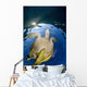 Green Sea Turtle Chelonia Wall Decal Design 17
