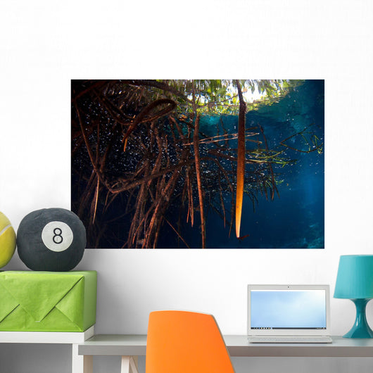 Mangrove Roots Full Life Wall Decal Design 2