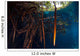 Mangrove Roots Full Life Wall Decal Design 2