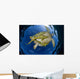 Green Sea Turtle Chelonia Wall Decal Design 16