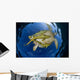 Green Sea Turtle Chelonia Wall Decal Design 16