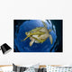 Green Sea Turtle Chelonia Wall Decal Design 16