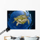 Green Sea Turtle Chelonia Wall Decal Design 16