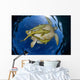 Green Sea Turtle Chelonia Wall Decal Design 16