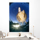 Green Sea Turtle Chelonia Wall Decal Design 15