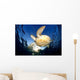 Green Sea Turtle Chelonia Wall Decal Design 14