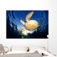 Green Sea Turtle Chelonia Wall Decal Design 14