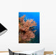 Gorgonian Reefscape Caribbean Sea Wall Decal