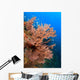 Gorgonian Reefscape Caribbean Sea Wall Decal