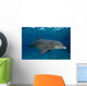 Bottlenose Dolphin Tursiops Truncatus Wall Decal Design 6