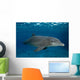 Bottlenose Dolphin Tursiops Truncatus Wall Decal Design 6